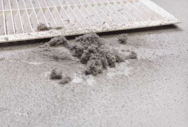 Best Residential Air Duct Cleaning  in Roseto, PA
